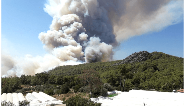Antalya'nın Kumluca ilçesinde henüz belirlenemeyen bir nedenle orman yangını çıktı.