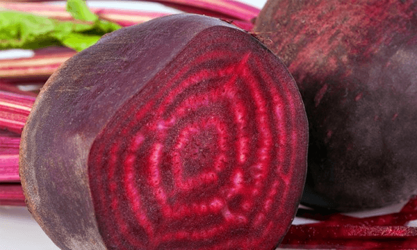 Kırmızı pancar bilimsel olarak beta vulgaris olarak bilinen kök sebzesi.