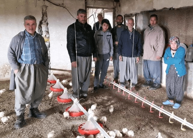 Mersin'de tavuk ve yumurta üretim firması, kiraladığı kümese yaklaşık 2 milyon civciv getirdi.