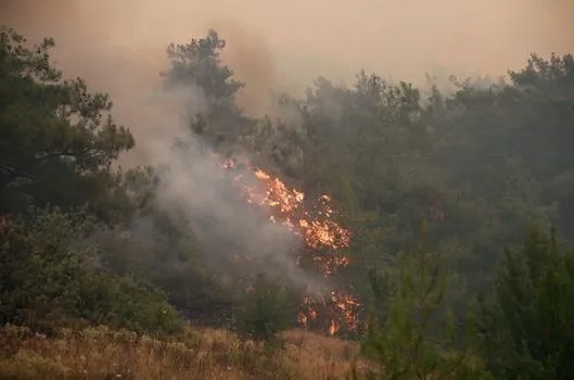 İzmir’in Menderes ilçesi ormanlık alanda yangın çıktı. Bölgeye çok sayıda itfaiye ekibi sevk edildi.