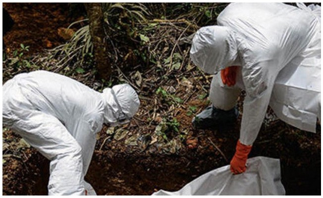 3 bin 128 kanamalı ateş vakasının görüldüğü salgında, 3 bin 17 kişide Ebola virüsüne rastlandı.