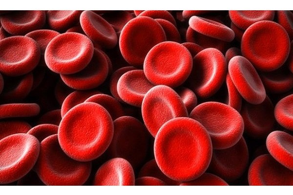 Altın grubu kan nedir? Dünyadaki en nadir kan grubu sadece 43 kişide tespit edilmiştir.