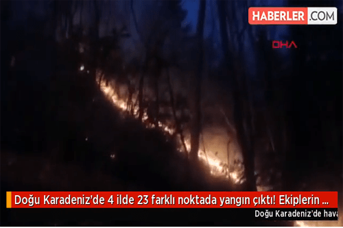 Trabzon, Ordu, Artvin ve Rize'de 23 farklı noktada çıkan yangınlar.