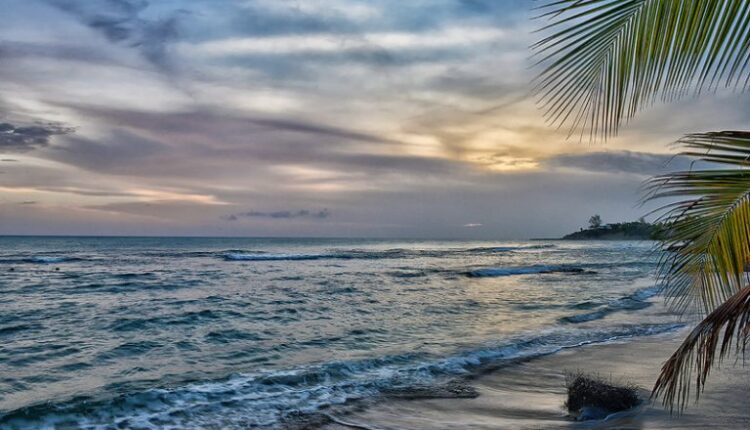 Treasure Beach Jamaica