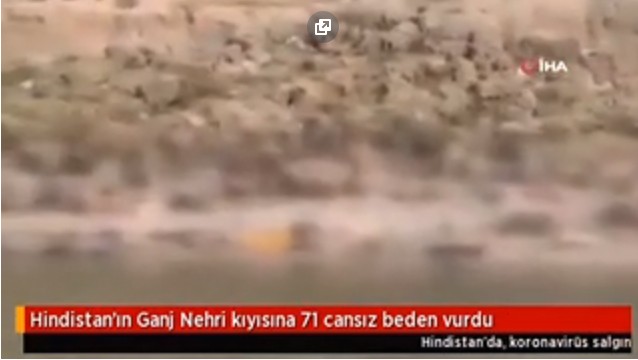 Ganj Nehri'nden 71 cansız bedenin kıyıya vurdu.