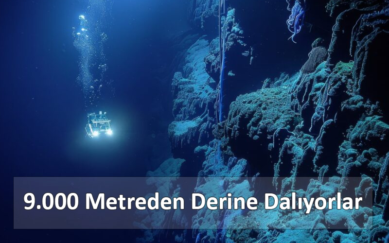 derinedalmak