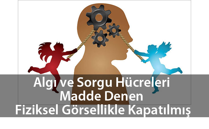 algivesorguhucreleri