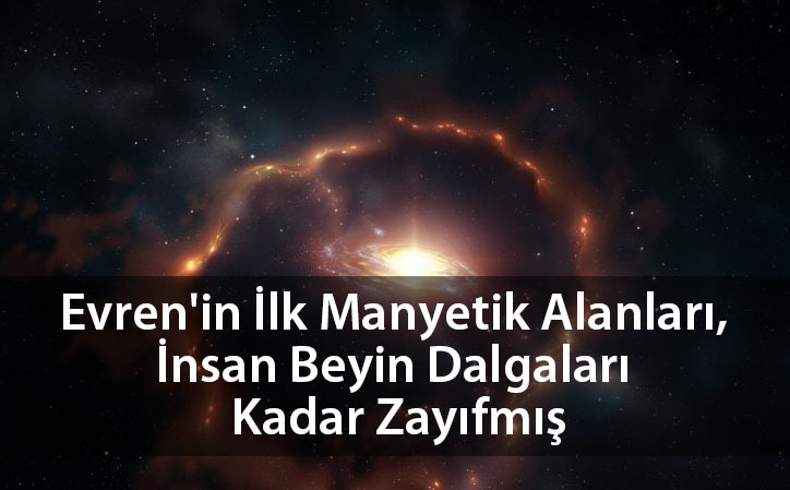 evreninilkmanyetikdalgalari