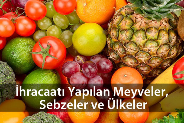 ihracaatmeyvesebze