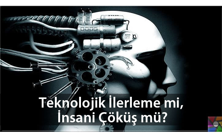 insanicokus