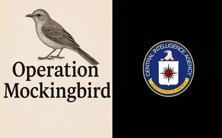 operationmuckingbird