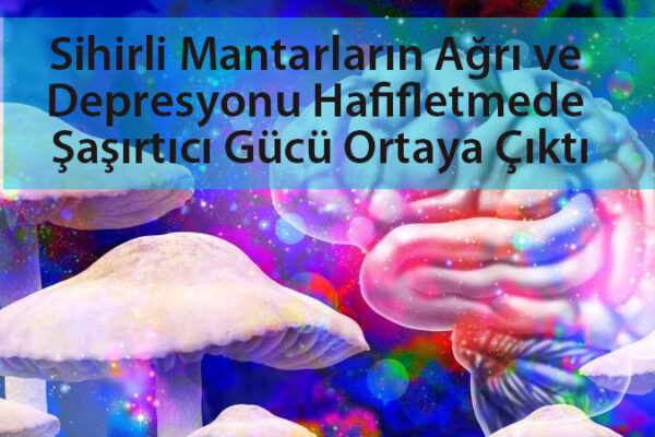 sihirlimantarlar