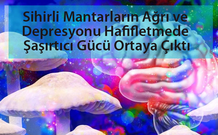 sihirlimantarlar