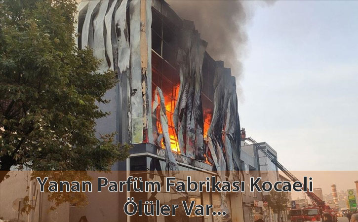 yananparfumfabrikasikocaeli yananparfumfabrikasikocaeli
