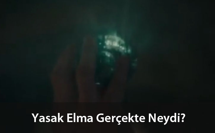 yasakelmaneydi yasakelmaneydi