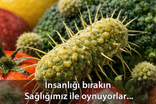 ihracedilenpestisliurunleriniadesi ihracedilenpestisliurunleriniadesi