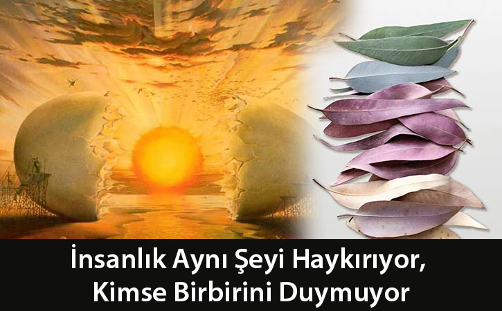 insanlikayniseyihaykiriyor