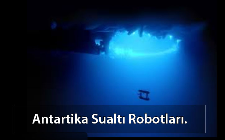 antartikasualtirobotlari antartikasualtirobotlari