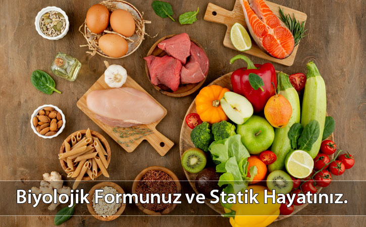 biyolokjikformunuzvestatikhayatiniz