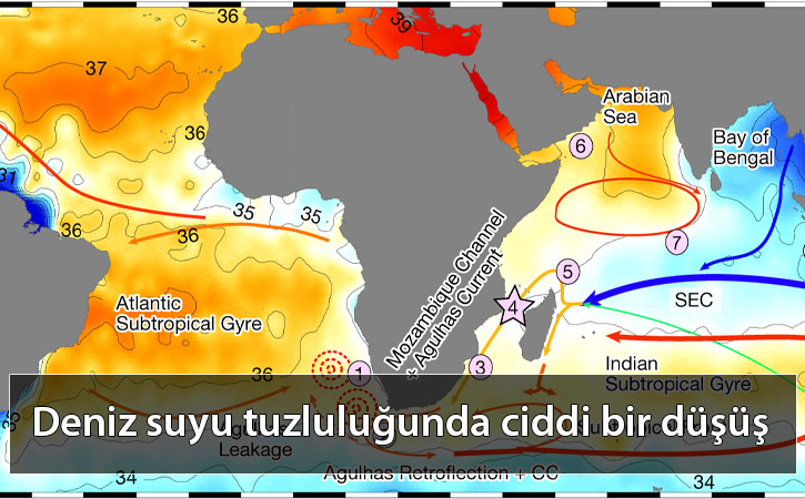 denizsuyutuzlulugundaazalma denizsuyutuzlulugundaazalma