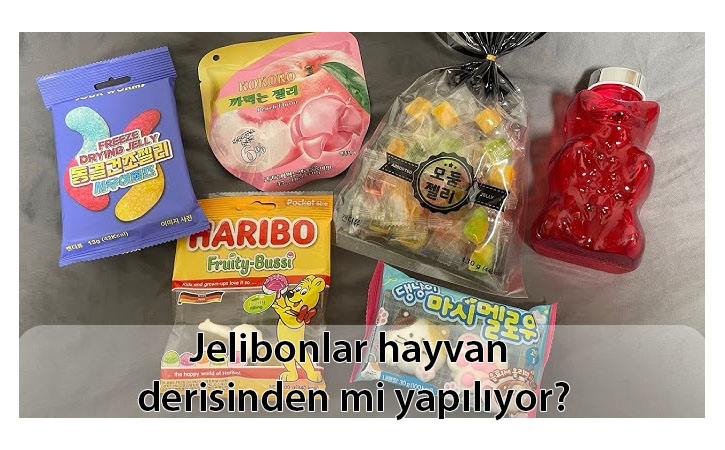jelibonlarhayvanderisindenmi