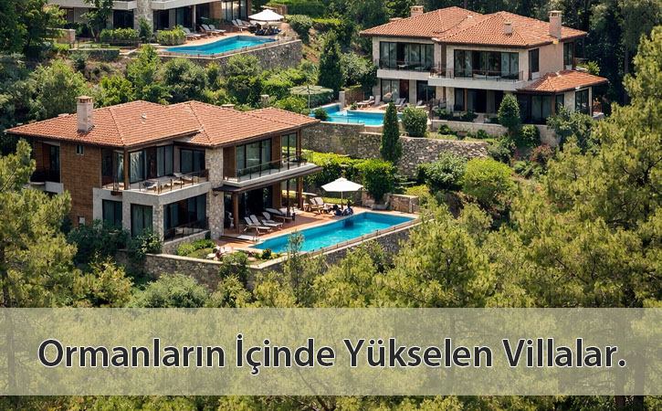 ormanlarayapilanvillalar.