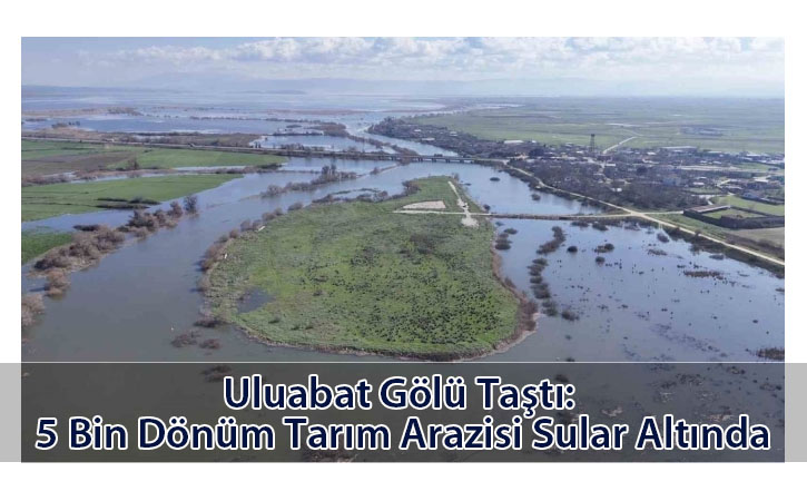 uluabatgolutasti uluabatgolutasti