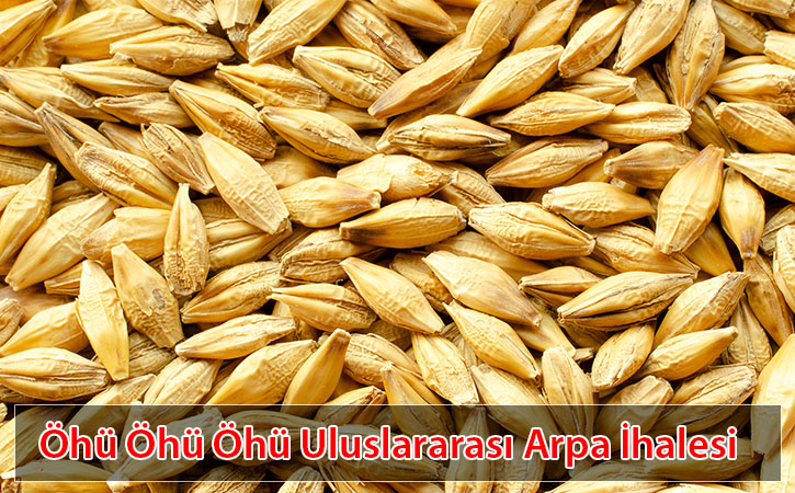 arpaihalesi arpaihalesi