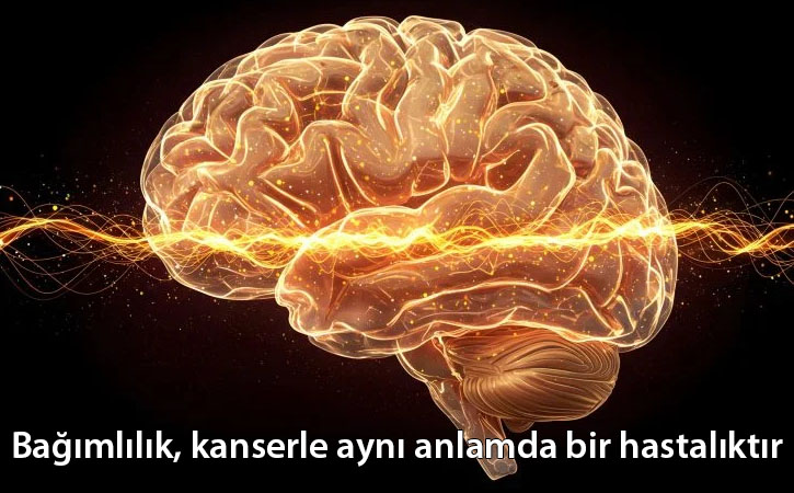bagimlilikkanserleaynihastalik bagimlilikkanserleaynihastalik