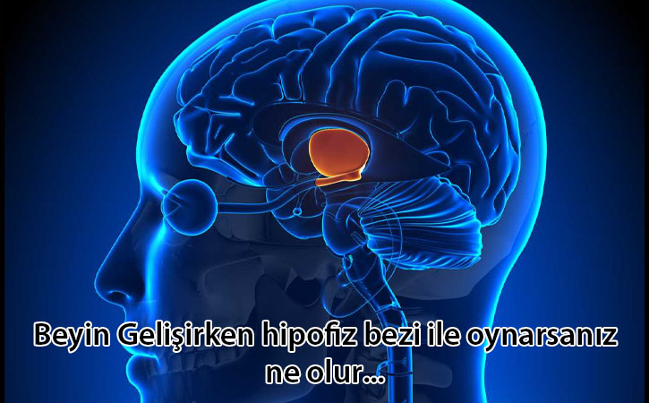 hipofizbezineiseyarar