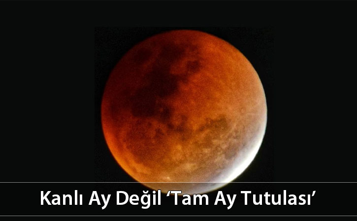 kanliaydegiltamaytutulmasi kanliaydegiltamaytutulmasi