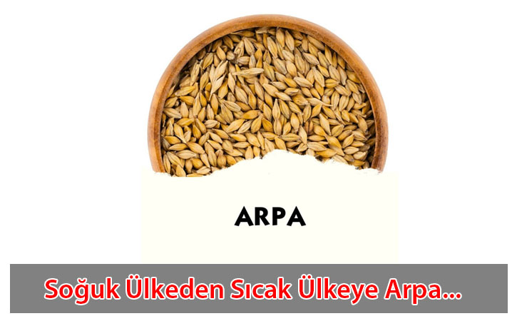 sicakulkedensogukulkeyearpa sicakulkedensogukulkeyearpa