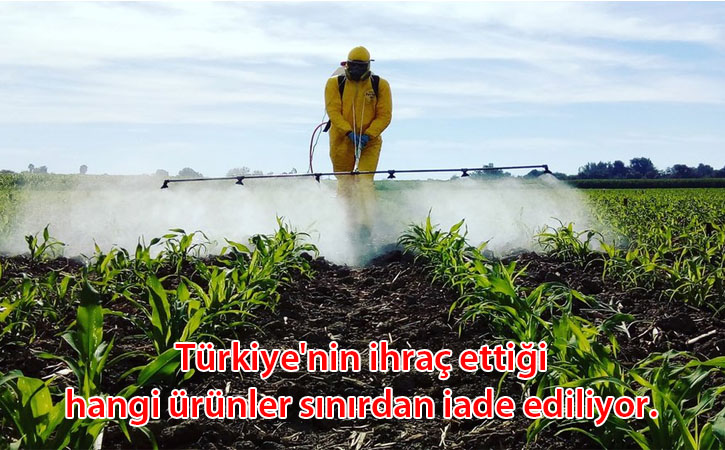 sinirdaiadeedilenurunler