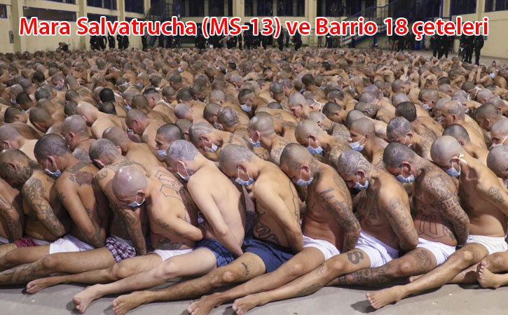 yuzleridovmelicetelesalvador