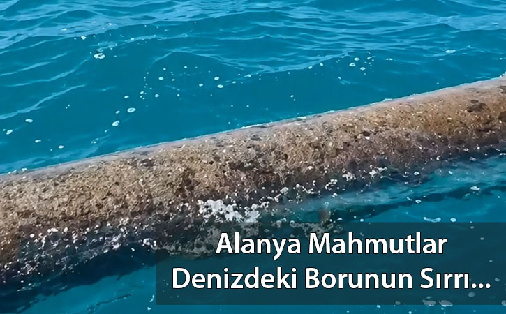 alanyamahmutlardenizdekiboru