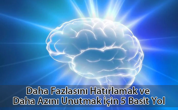 dahafazlahatirlamak