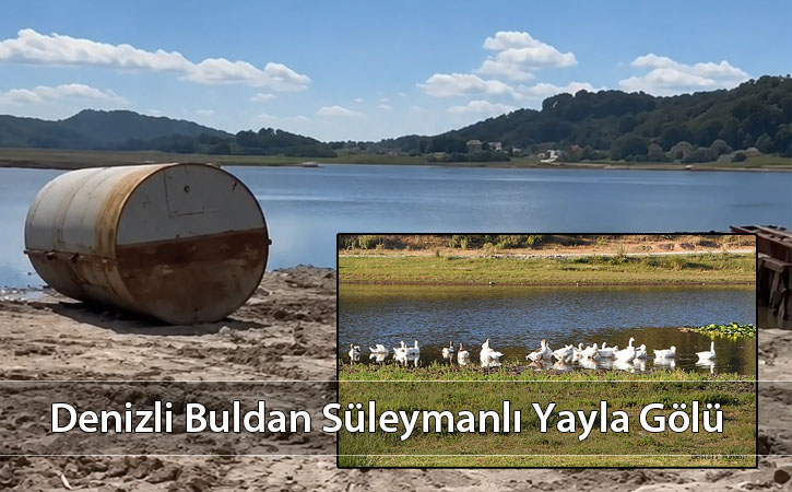 denizlibuldansuleymanyaylagolu