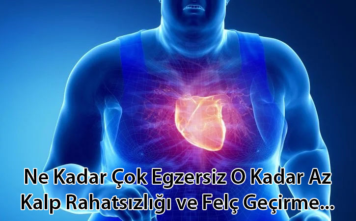 yetiskinleregzersizyapma yetiskinleregzersizyapma